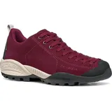raspberry 36,5