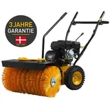 TEXAS Handy Sweep 650TG
