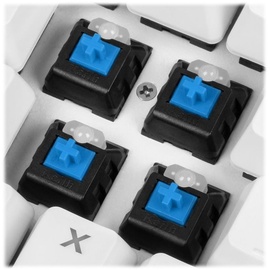 Sharkoon Skiller Mech SGK3 Mechanische Gaming Tastatur (mit RGB Beleuchtung, Blaue Kailh Schalter, PBT-Tastenkappen-Set), weiß