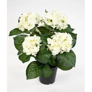 Seidenblumen Roß Hortensienbusch Deluxe 42cm weiß-Creme im Topf LM, Kunstpflanzen wie echt, Fake Plants künstliche Hortensie Grün Busch Pflanzen Blumen, Wohnzimmer Home Decoration Dekopflanzen