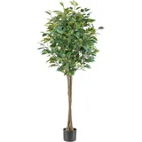 Creativ green Kunstpflanze »Ficus benjamina«, in Hochstamm-Form Creativ green grün