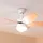 Cecotec EnergySilence Aero 4260 106 cm Deckenventilator Orange