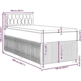 vidaXL Boxspringbett mit Matratze Hellgrau 100x200 cm Samt