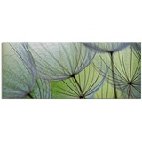 Artland Glasbild »Pusteblumen-Samen II«, Blumen, (1 St.), in verschiedenen Größen, grün