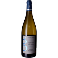 Bourgogne Chardonnay - Côtes Salines 2023 - Domaine Gueguen