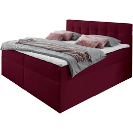 Home Affaire Boxbett 162 x 210 cm Rot