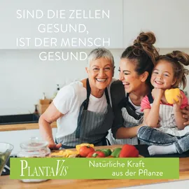PlantaVis Collagen Gutes für die Gelenke Pulver