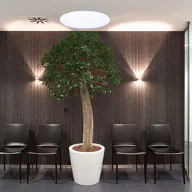 Top Light Puk Wall LED 2-0812-LED,