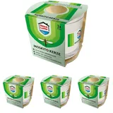 Nexa Lotte Moskito Kerze - 1 St. (Packung mit 4)