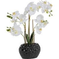 Leonique Kunstpflanze »Orchidee«, Kunstorchidee, im Topf, Kunstpflanzen, 85610711-0 weiß/schwarz B/H: 20 cm x 55 cm