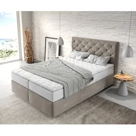 DeLife Boxspringbett Dream-Great 140x200 cm Mikrofaser Beige mit TFK Matratze und Visco Topper Boxspringbetten