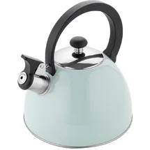 Florina Wasserkessel (2,5 l) I Edelstahl Teekessel BRILLO I Flötenkessel mit Bakelitgriff I Kratzfester I Wasserkocher für Induktionsherd, Gasherd und Elektroherd I Farbe: Minze