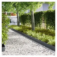 vidaXL Raseneinfassung 100 x 0,05 x 20 cm 10 Stück Anthrazit