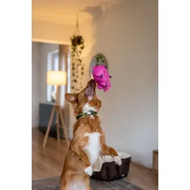 Nobby Latex Schwein 20 cm