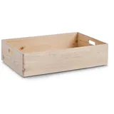 Zeller Allzweckkiste 60 x 40 x 15 cm 1-tlg. beige