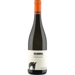 Falanghina (2023), Azienda Agricola San Salvatore