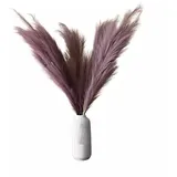 layba Pampasgras Deko in Lila Boho – 3 Stück 100cm, Ideal für Hochzeitsdeko, Wohnzimmer - Schlafzimmer