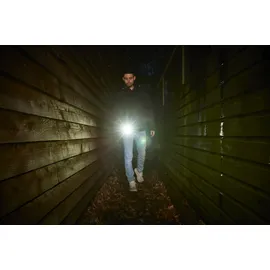 RYOBI Akku-Taschenlampe RLP4-0 4 V ohne Akku und Ladekabel