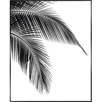 Reinders Bild Palm Leaf (BH 50x40 cm) - weiß