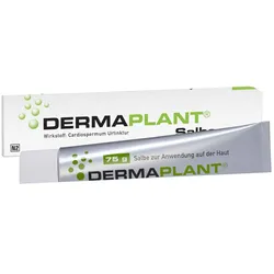 DERMAPLANT Salbe 75 g Salbe