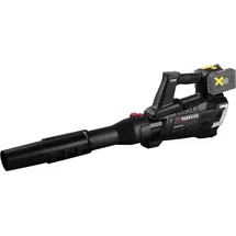 Parkside Akku-Laubbläser PPTLBA 40-Li C3 inkl. 2 x 4,0 Ah + Ladegerät