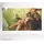 Gamegenic Lorwyn Eclipsed Prime Playmat High Perfect Morcant