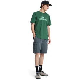 QUIKSILVER EV Vista grün XL