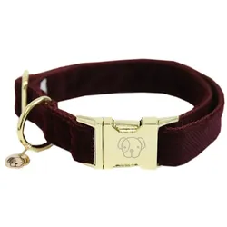 Kentucky Dogwear Corduroy Hundehalsband
