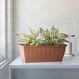 Euro3Plast Pflanzkasten GREENER Kezar 50 terrakotta