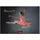 Casares Edition Ballett Kalender 2027 – Wandkalender Fotokalender Tanzkalender Kunst 24x35cm - Eleganter Ballett – Ästhetik & Ballettkunst für jeden Monat.