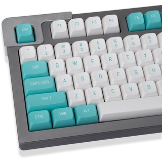 Weiß Grüne Tastenkappen 150 Tasten Doubleshot MSA Profil Custom Keycaps für 61/64/68/84/87 Mechanische Gaming Tastatur