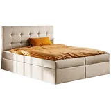 kaiser möbel Boxbett, Creme, Holz, H2, 140x200 cm Schlafzimmer, Betten, Boxspringbetten