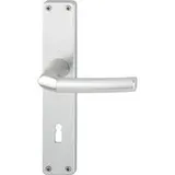 HOPPE Langschildgarnitur Birmingham 1117/202SP Alu. F1 PZ 72mm DIN L/R