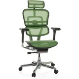 HJH Office Bürostuhl ERGOHUMAN GEN2 Netzstoff Grün