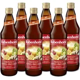 RABENHORST Heißer Apfel-Ingwer BIO 6er Pack (6 x 700 ml) - Alkoholfreies Bio-Heißgetränk mit Ingwer und Lindenblütenhonig