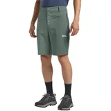 Jack Wolfskin Herren Hikeout M, Wander-Shorts, slate green