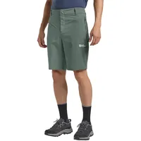 Jack Wolfskin Herren Hikeout M, Wander-Shorts, slate green