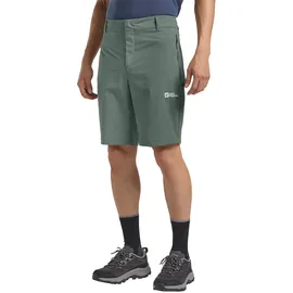 Jack Wolfskin Herren Hikeout M, Wander-Shorts, slate green