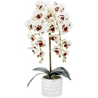 TreesHouse Premium Orchideen Künstlich XL (60cm) I Künstliche Orchideen wie Echt I Blumen Deko I Künstliche Orchideen im Topf I Hergestellt in der EU I 2 Stängel - 18 Blüten I Gefleckt Doppelt (Moss)