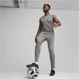 Puma teamFINAL Trainingshose Herren 13 cast iron/silver XL