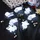 Star Trading LED-Lichterkette Halloween Geister 2 m Weiß