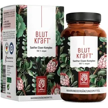 NATURTREU Blutkraft Eisen-Komplex