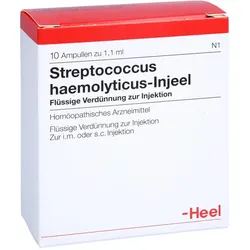 Streptococcus Haemolyticus Injeel Ampullen