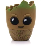 bitty boomers Groot mehrfarbig