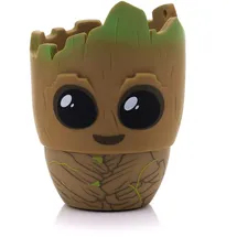 bitty boomers Groot mehrfarbig