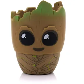 bitty boomers Groot mehrfarbig