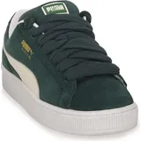 Green 41