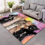 3D Süßes Kätzchen Teppich Küche Badezimmer Eingangstür Matte Schwarz Weiß Orange Katze Muster Carpet Wohnzimmer Wohnkultur Junge Mädchen Kinder Schlafzimmer Rutschfester Rug (Muster 2,60x90 cm)