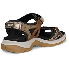 ECCO Offroad Damen brown 40