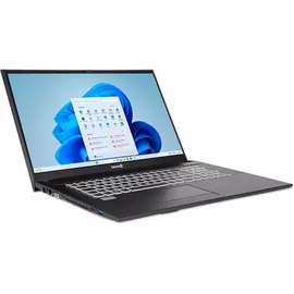 WORTMANN Terra Mobile 1716R Intel Core i3-1315U 8 GB RAM 500 GB SSD Win11 Home